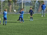 S.K.N.W.K. JO9-1 - ST FC De Westhoek '20/Z.S.C. '62 JO9-3 (competitie) 2024-2025 (4e fase) (37/48)